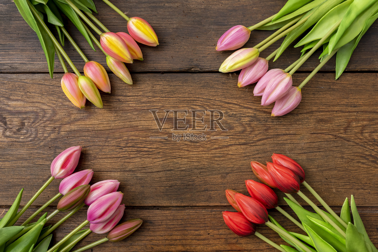 木桌上放着不同颜色的郁金香照片摄影图片