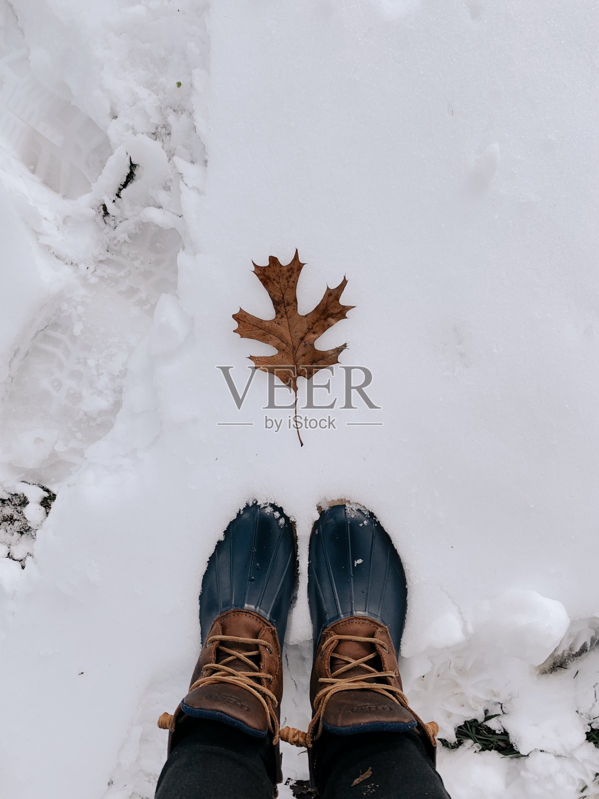 2020年圣诞节，俄亥俄州，雪地靴前一片干燥的棕色枫叶照片摄影图片