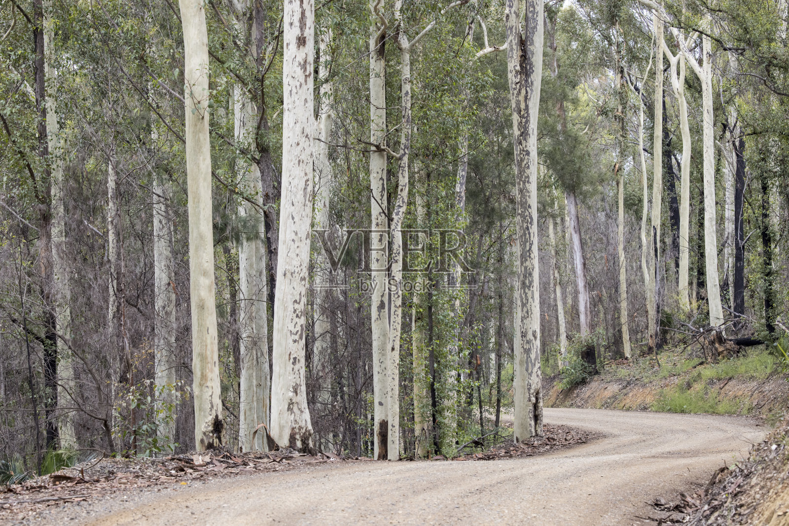 乡间小路照片摄影图片