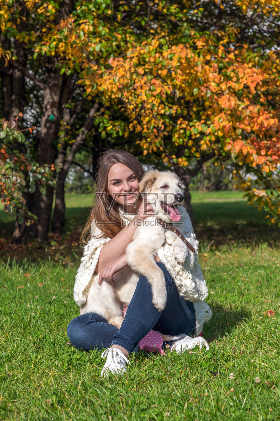 一个女人在城市公园里牵着狗照片摄影图片