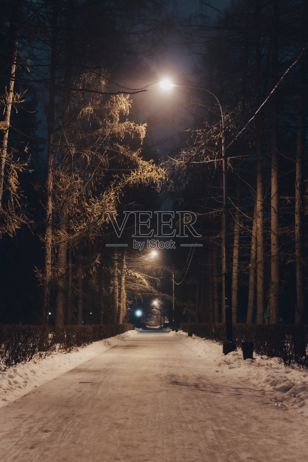 冬天的城市公园晚上有雾照片摄影图片