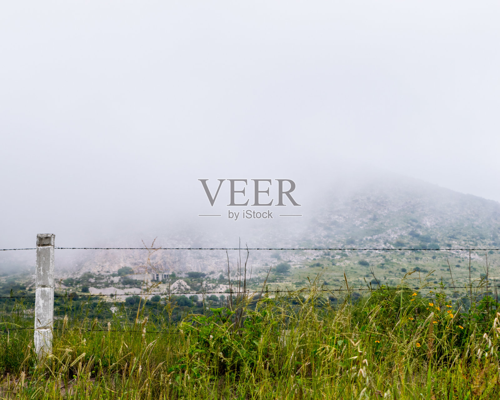 有雾的栅栏照片摄影图片