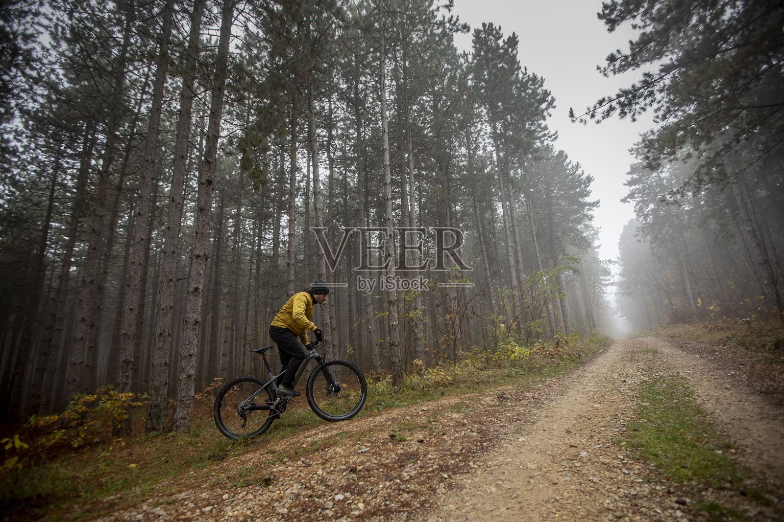 年轻人骑自行车穿过秋天的森林照片摄影图片