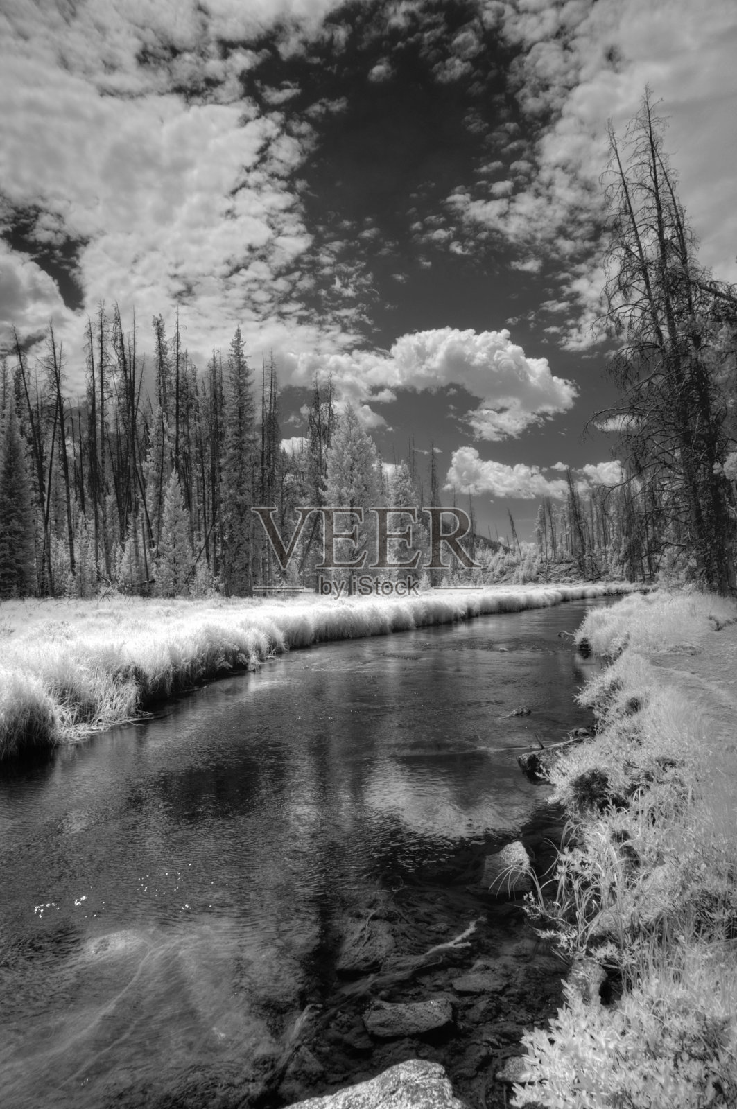 科罗拉多河源头附近的垂直黑白图像照片摄影图片