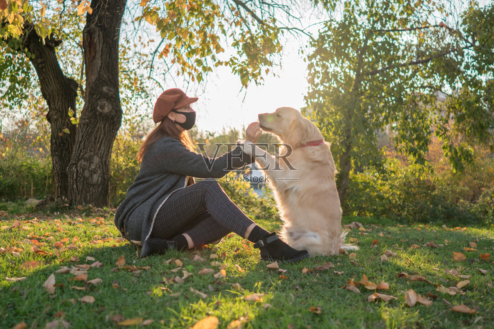 戴着保护面罩的女人和狗一起坐在户外的公园里。照片摄影图片