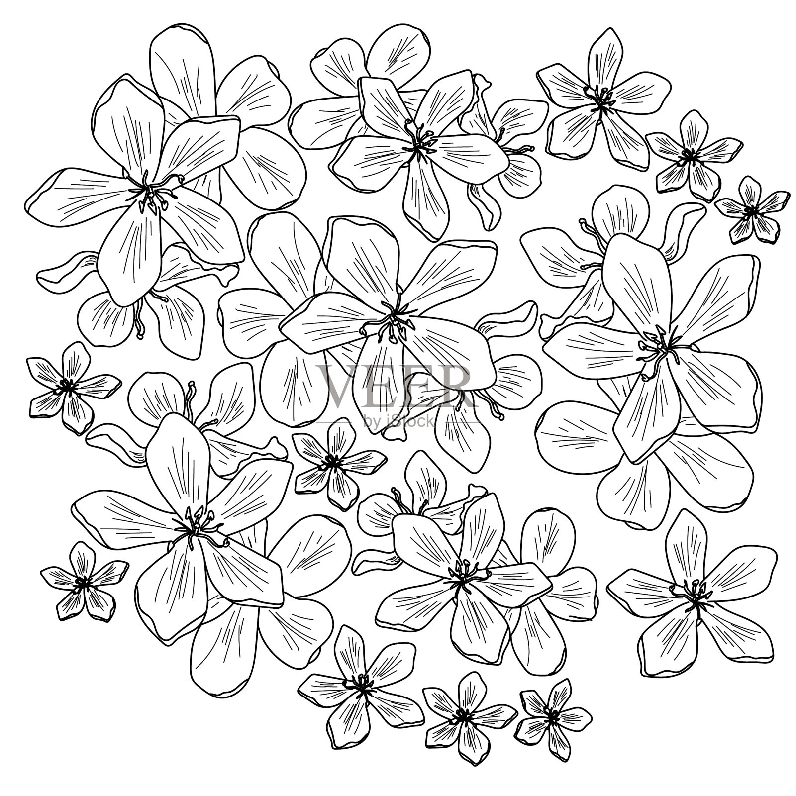 轮廓花polianthetuberosa设计元素图片