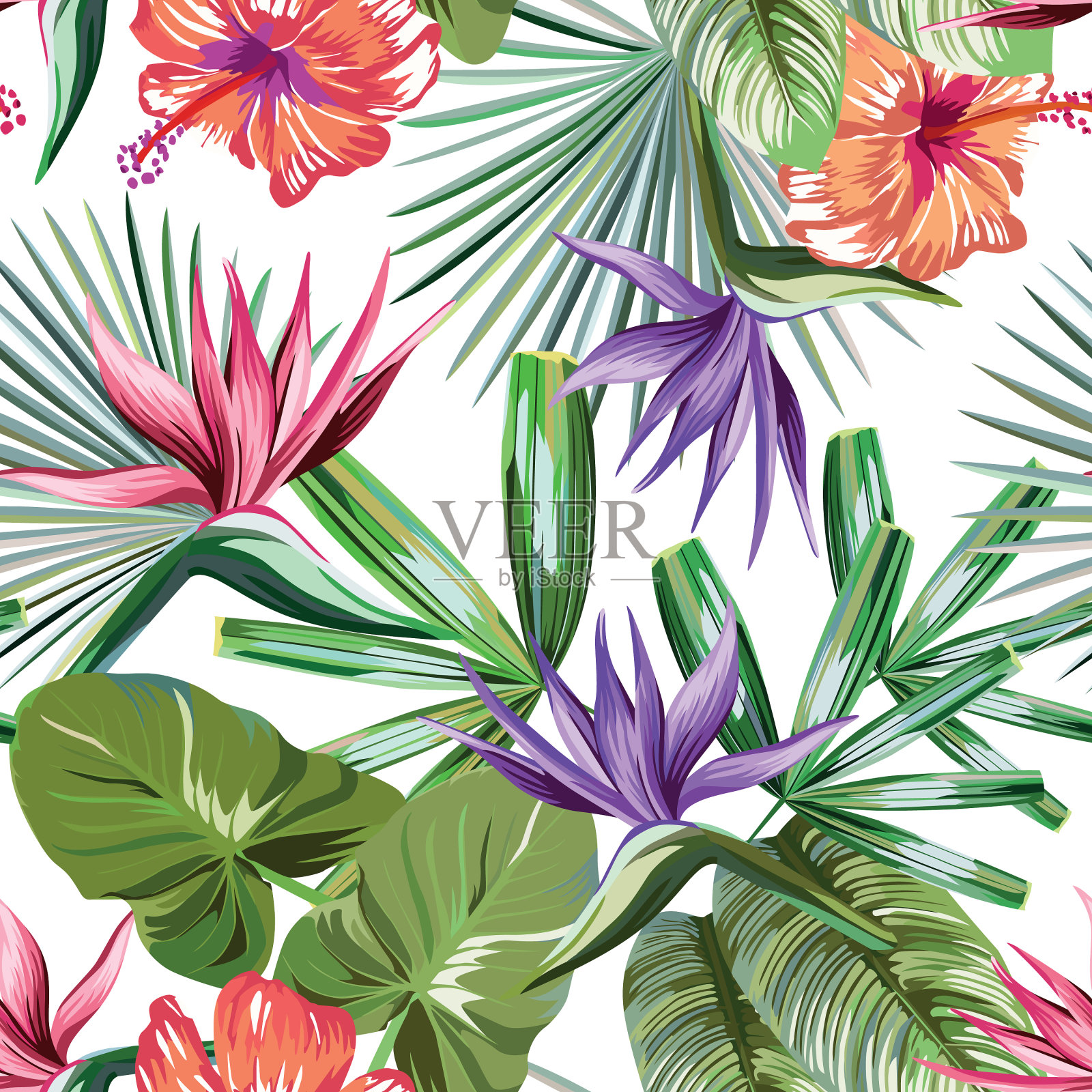 生动的热带雨林花朵绿叶插画图片素材