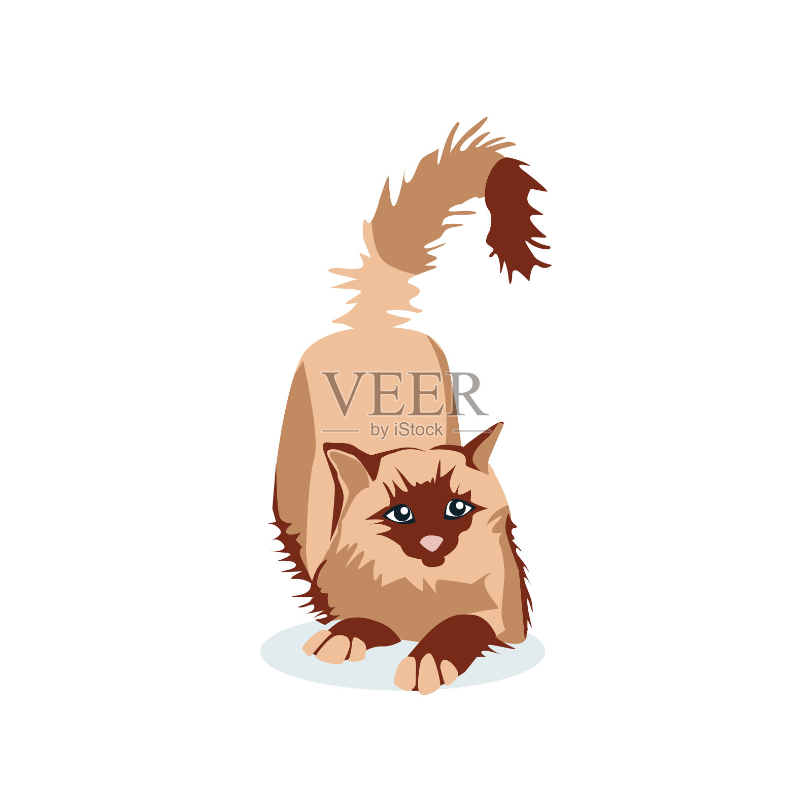 可爱的猫暹罗伯曼品种设计元素图片