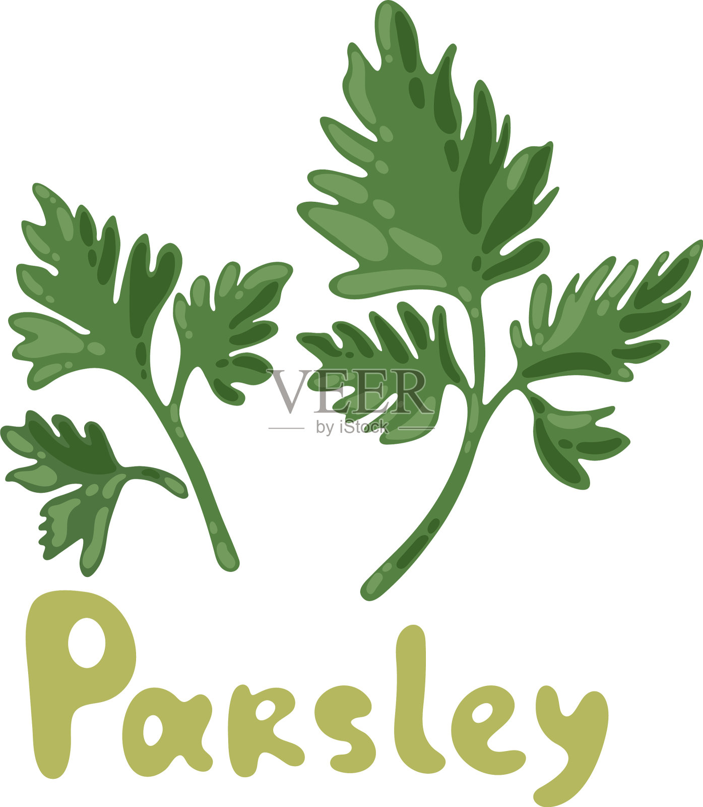 欧芹图标上的白色背景小枝欧芹插画图片素材