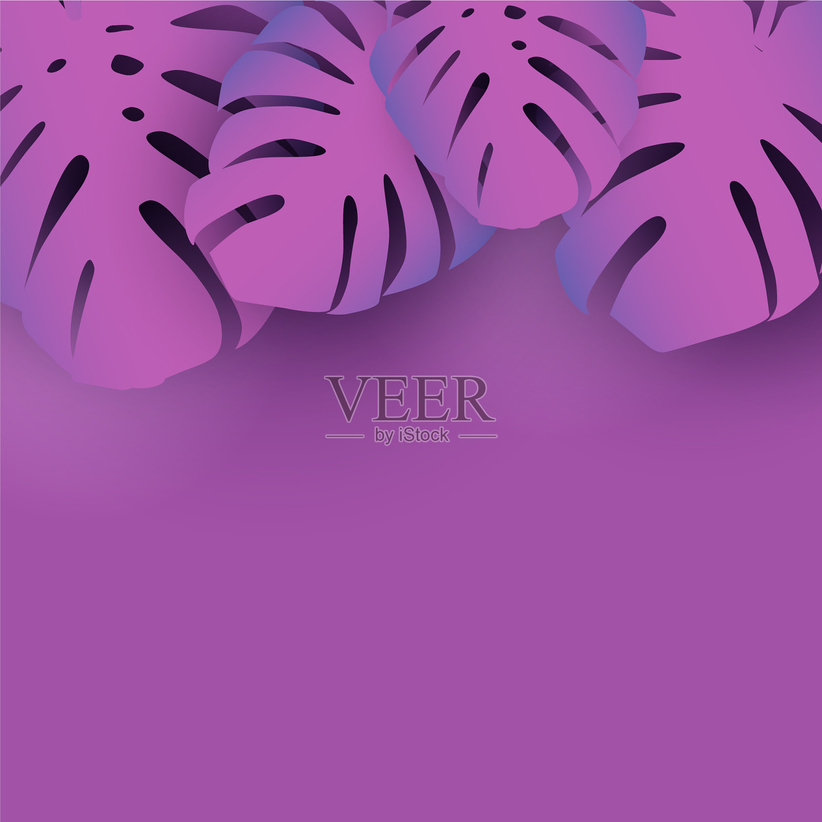 Monstera棕榈叶时尚背景插画图片素材