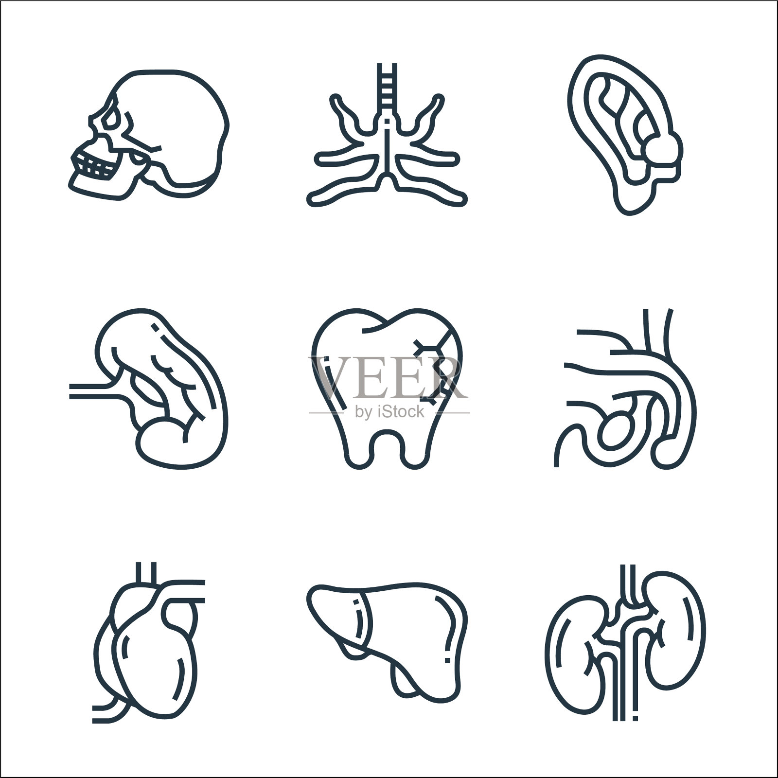 人体器官线图标线性设置质量线图标素材