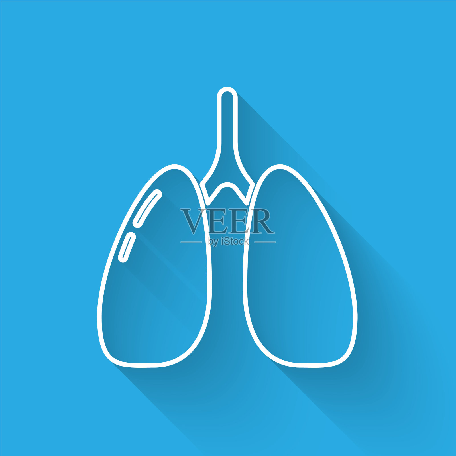 肺呈白色线孤立，影长插画图片素材