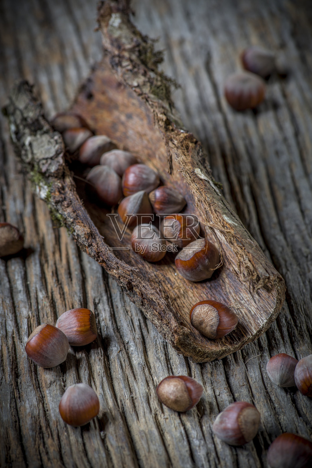 榛子放在树皮和粗糙的木板上照片摄影图片