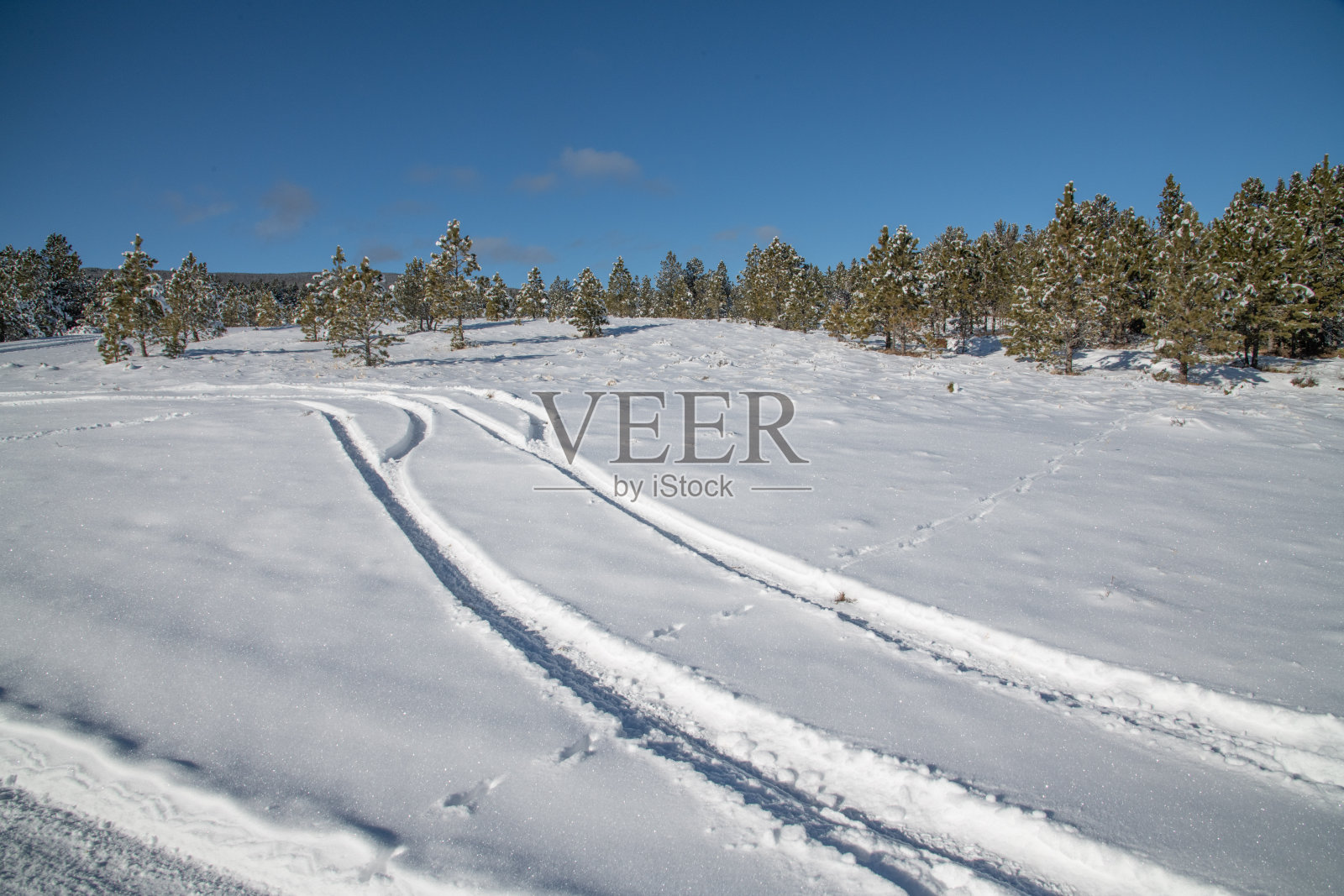 蒙大拿大雪覆盖的山路照片摄影图片
