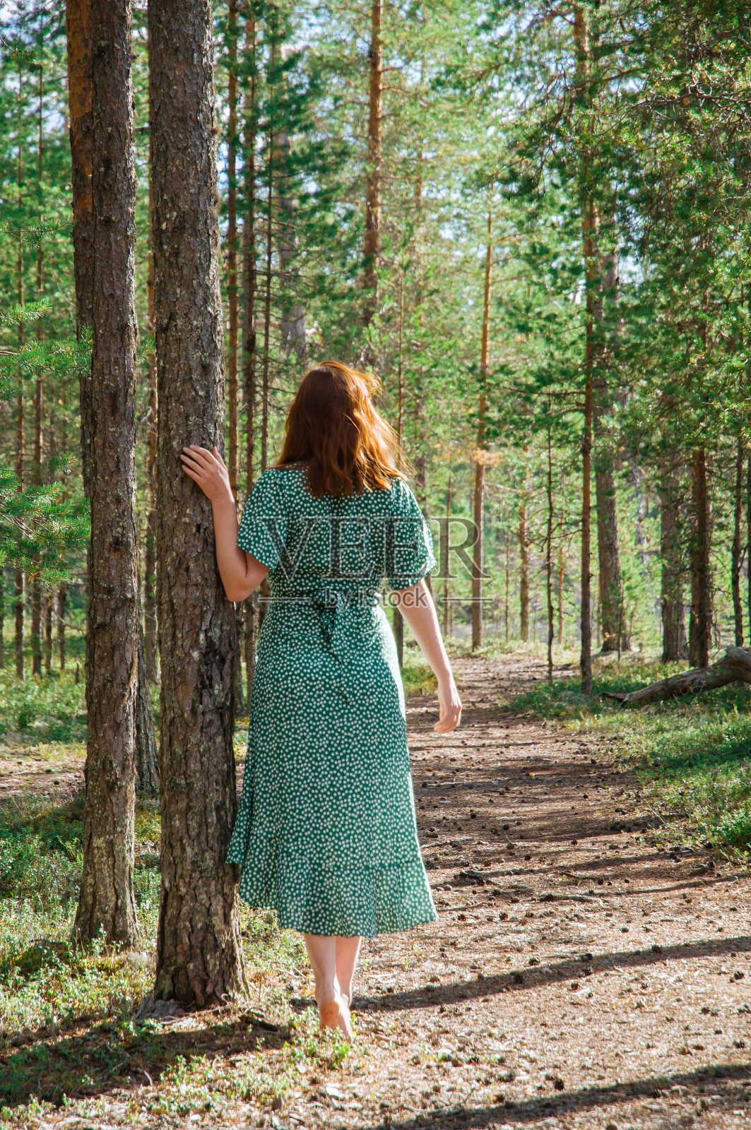 年轻迷人的红发女孩在松林里照片摄影图片