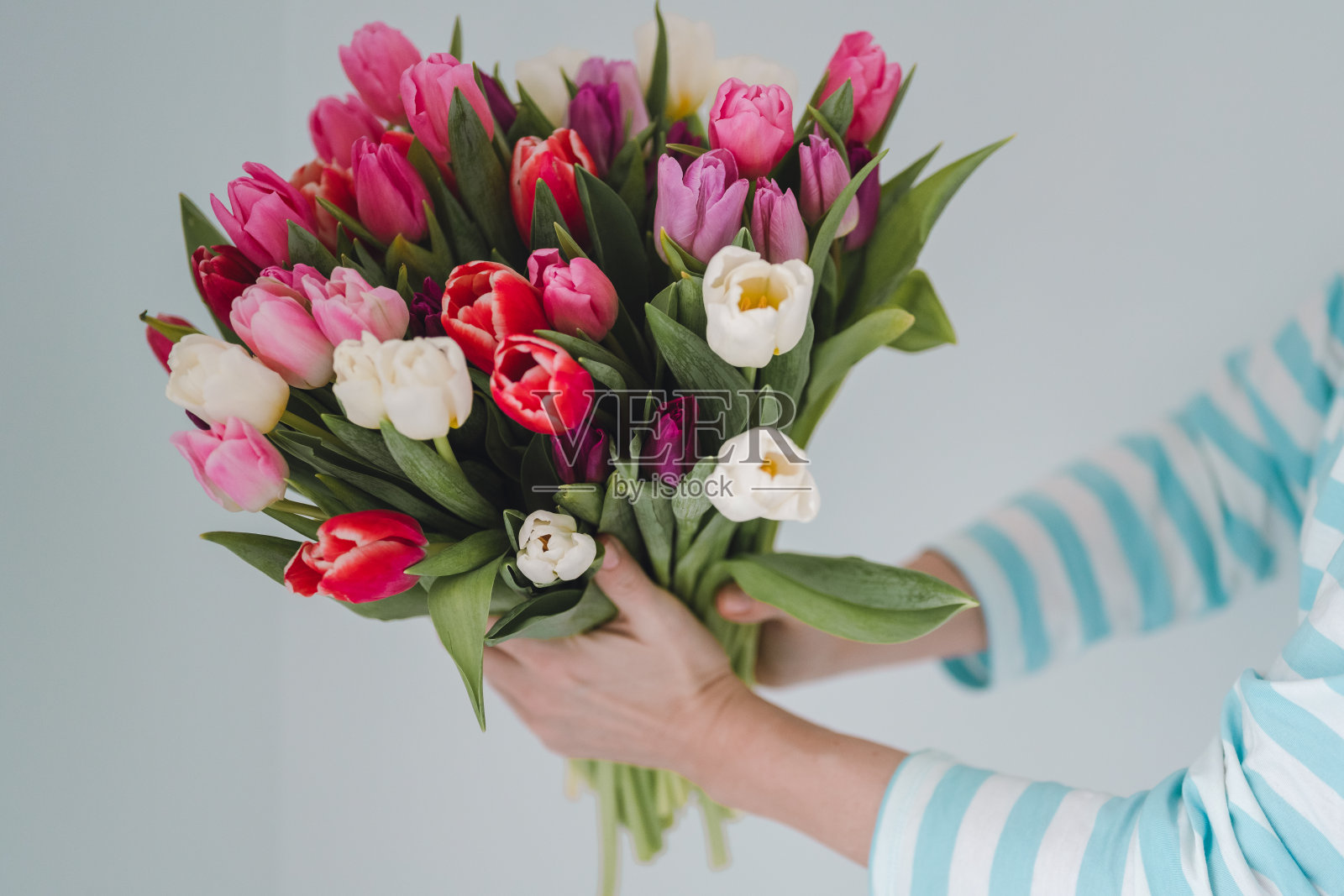 手持春日郁金香花束的女人照片摄影图片