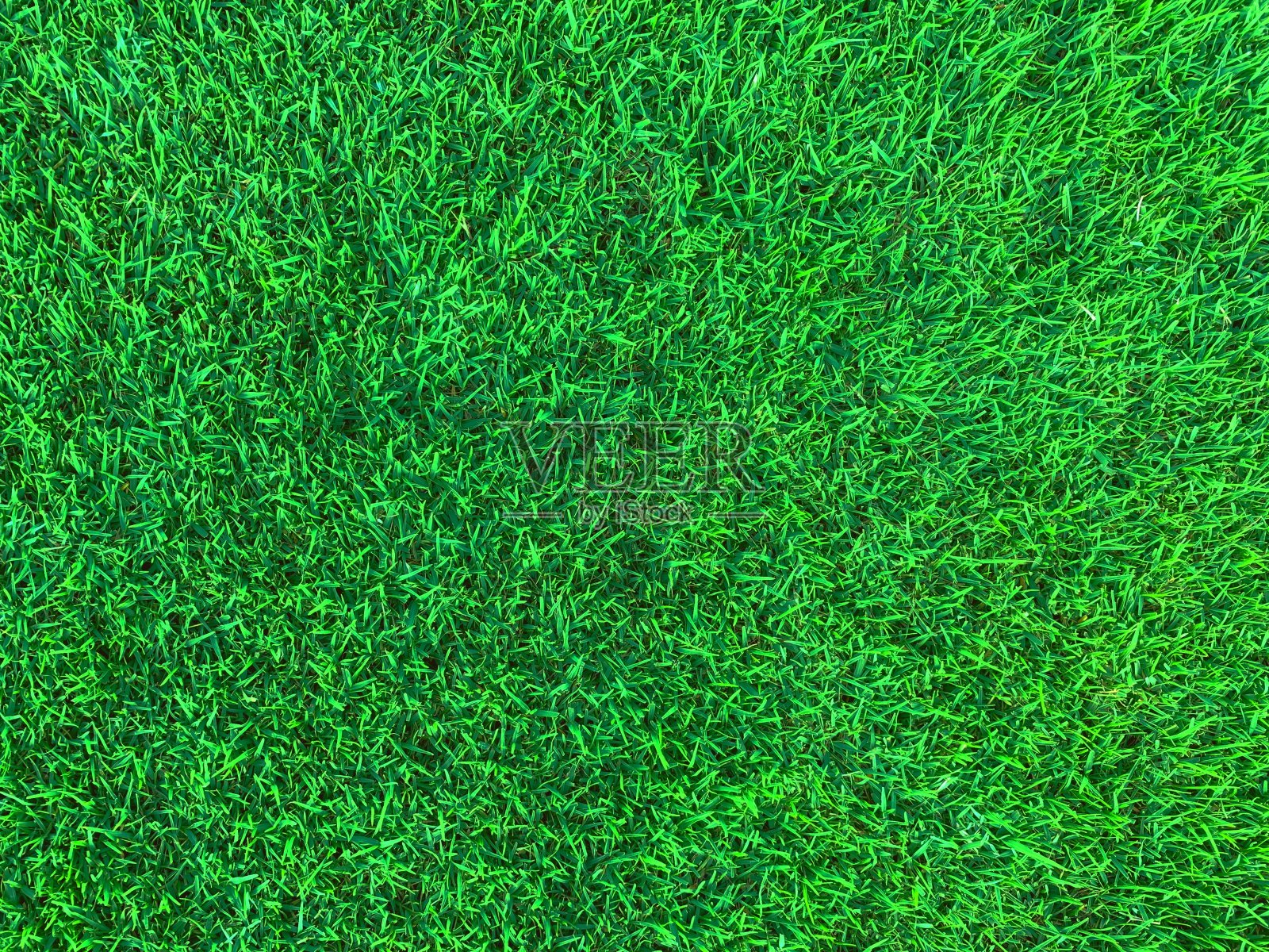 草地足球场为背景，夏日运动为背景照片摄影图片