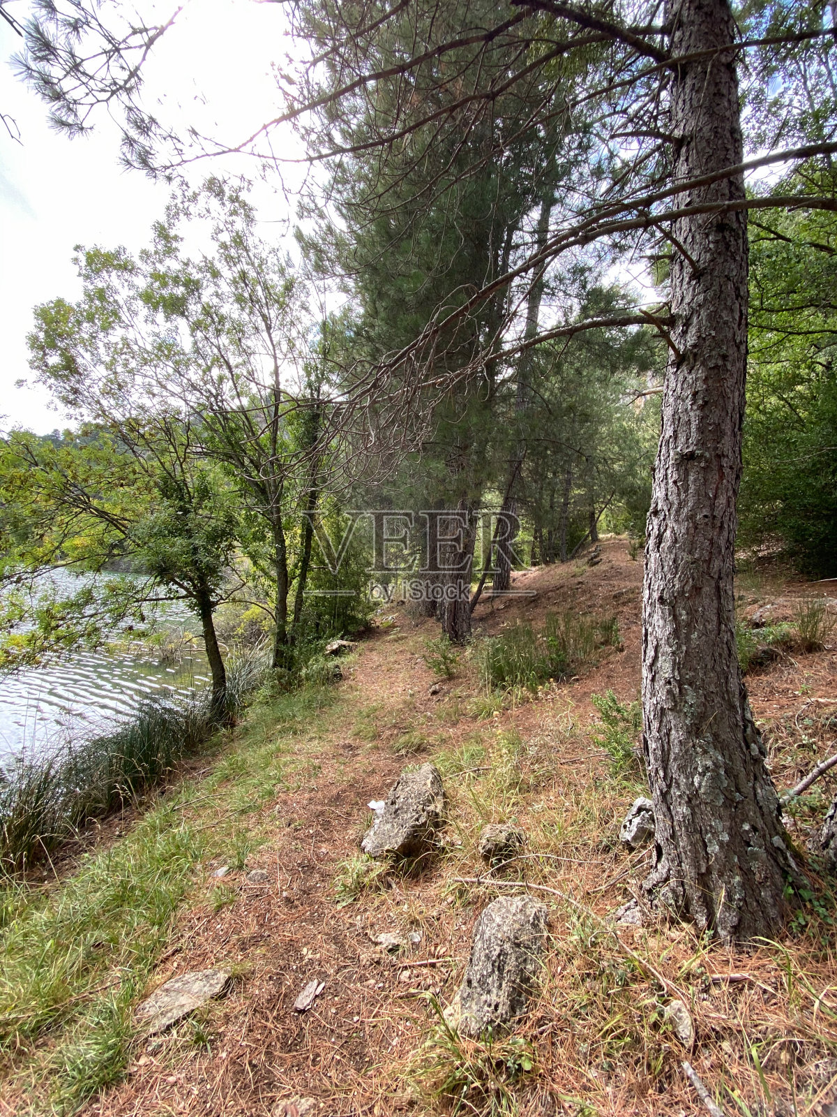 Borosa河的源头，位于塞拉de Cazorla自然公园，塞古拉和las Villas，西班牙安达卢西亚。照片摄影图片