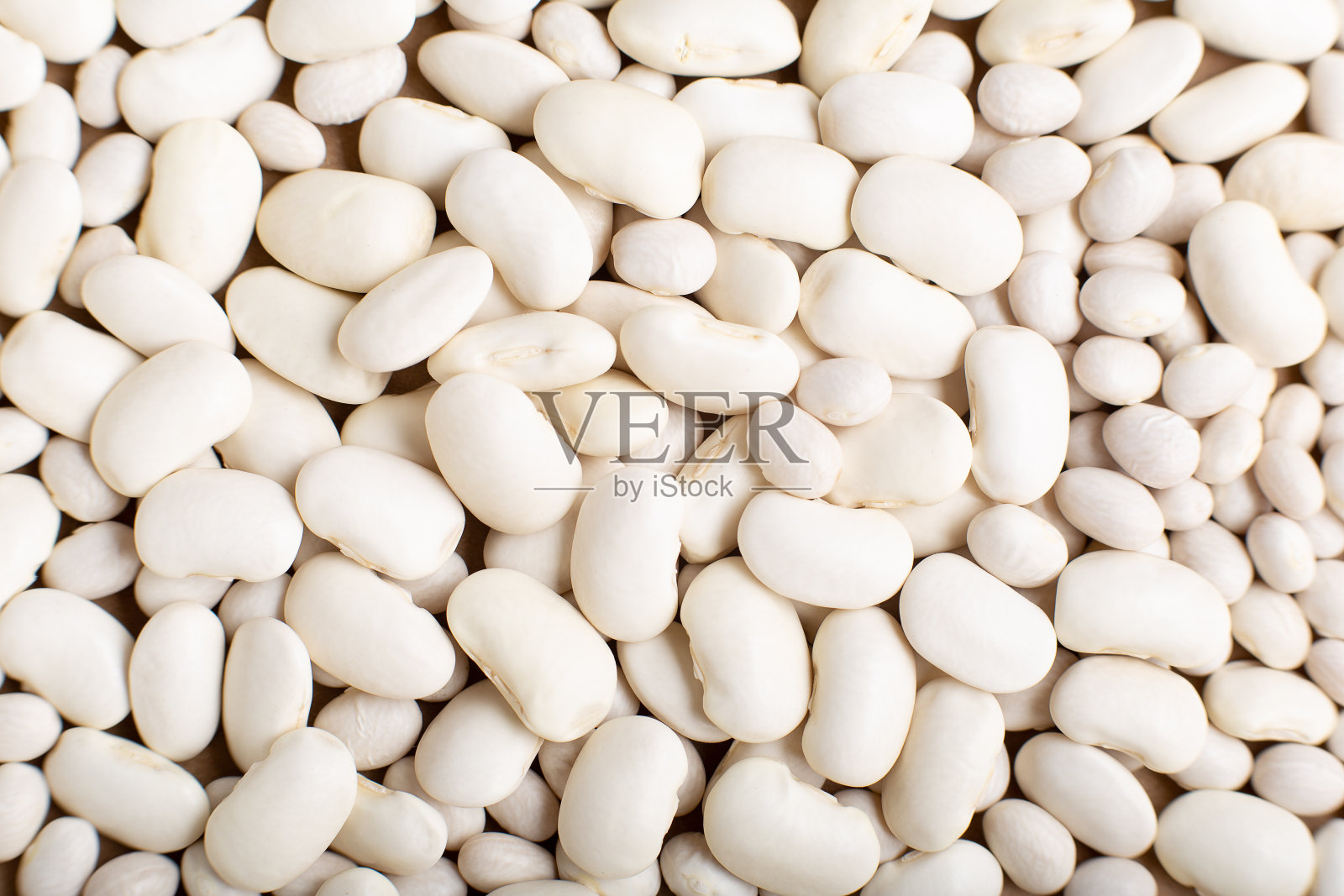 白豆背景，普通豆俯视图。素食蛋白质来源照片摄影图片