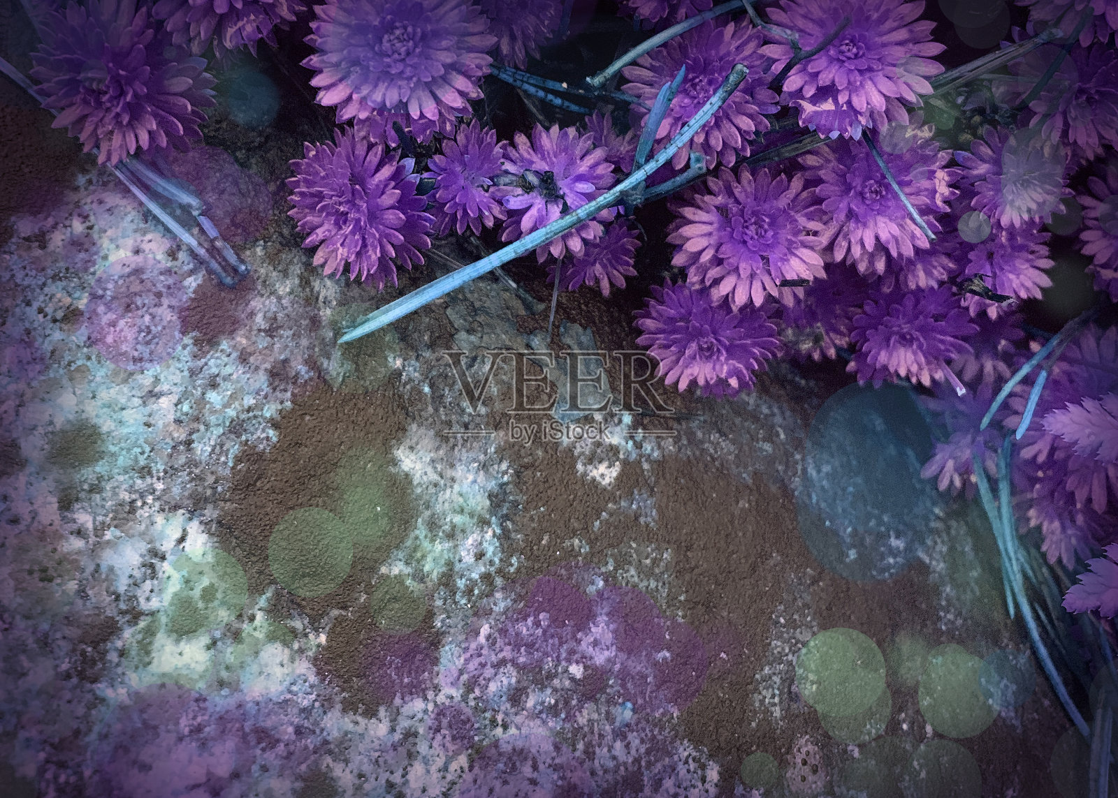 自然的照片背景照片摄影图片