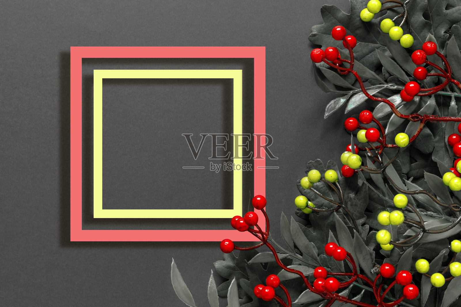 黑色背景上的秋季橡树和红浆果树枝照片摄影图片