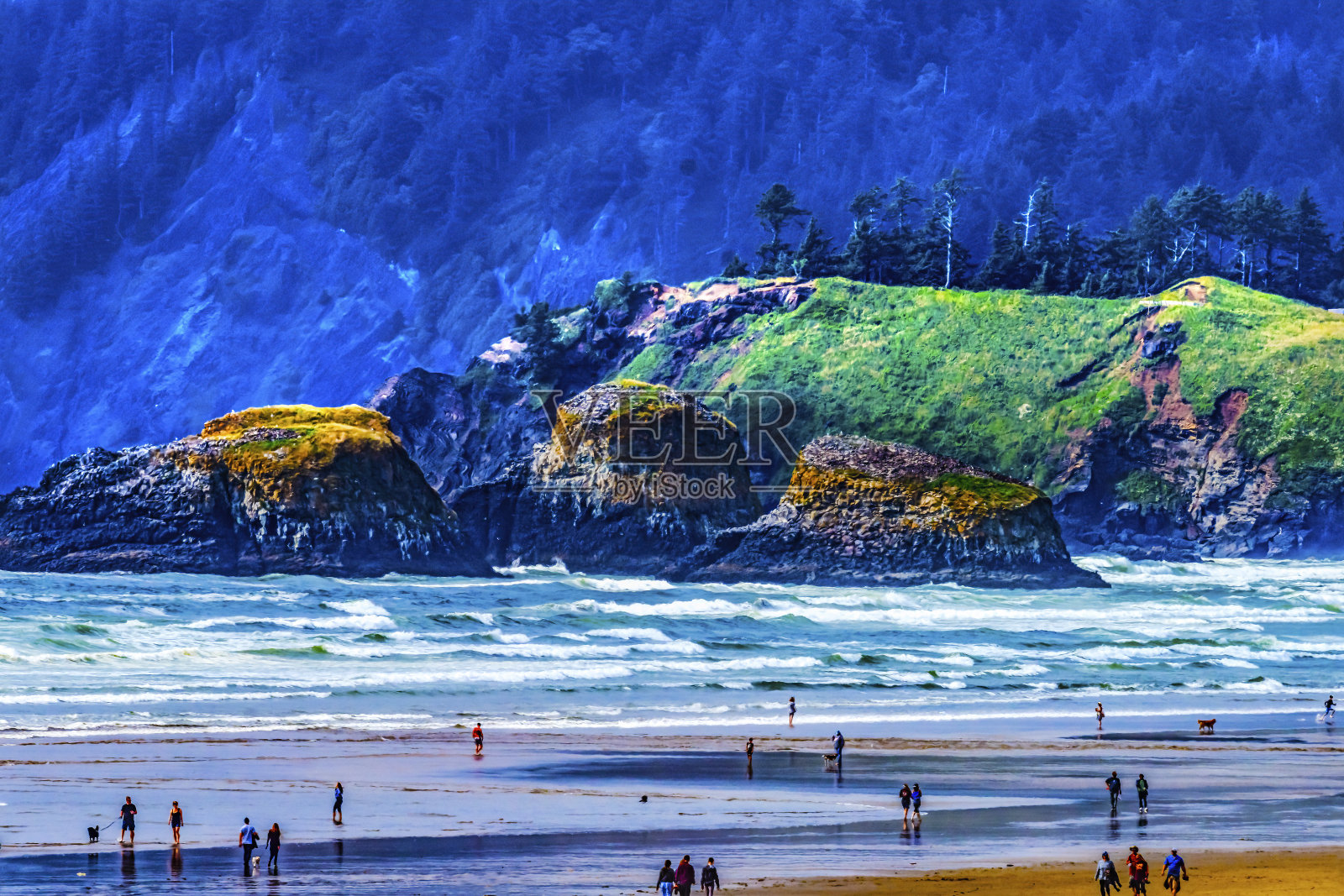 五颜六色的海滩游客悬崖树木卡农海滩俄勒冈照片摄影图片