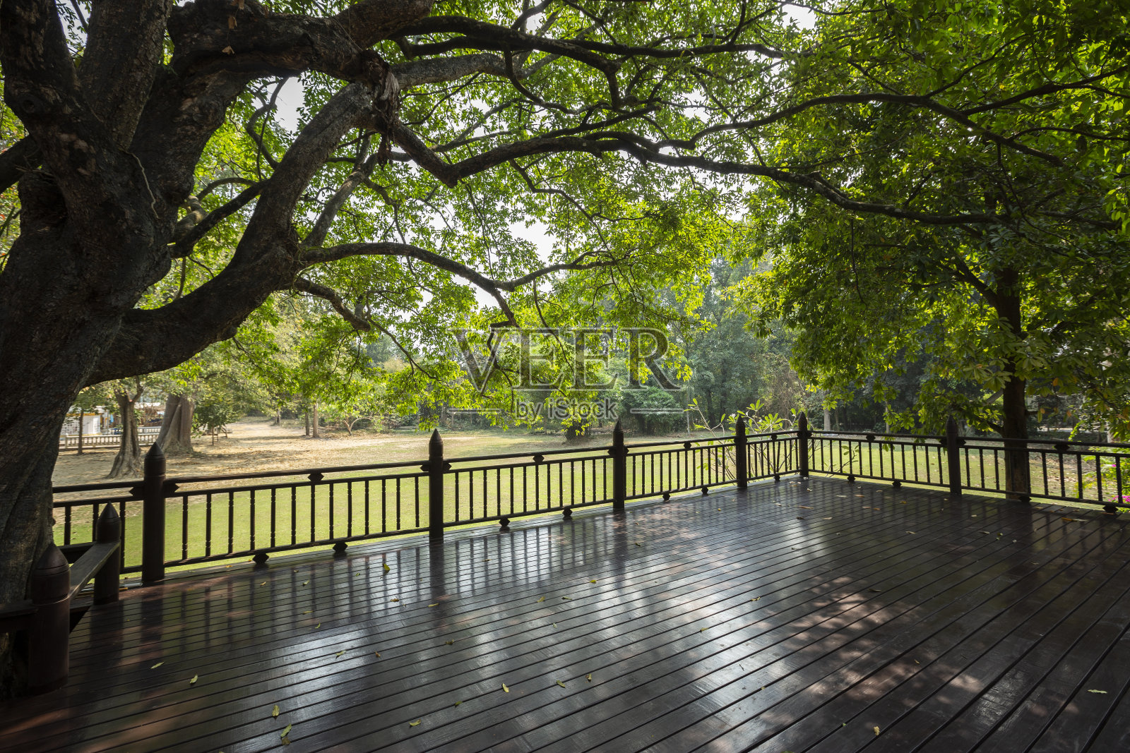 经典复古风格的木制阳台上，绿色草坪和树木森林的全景。照片摄影图片