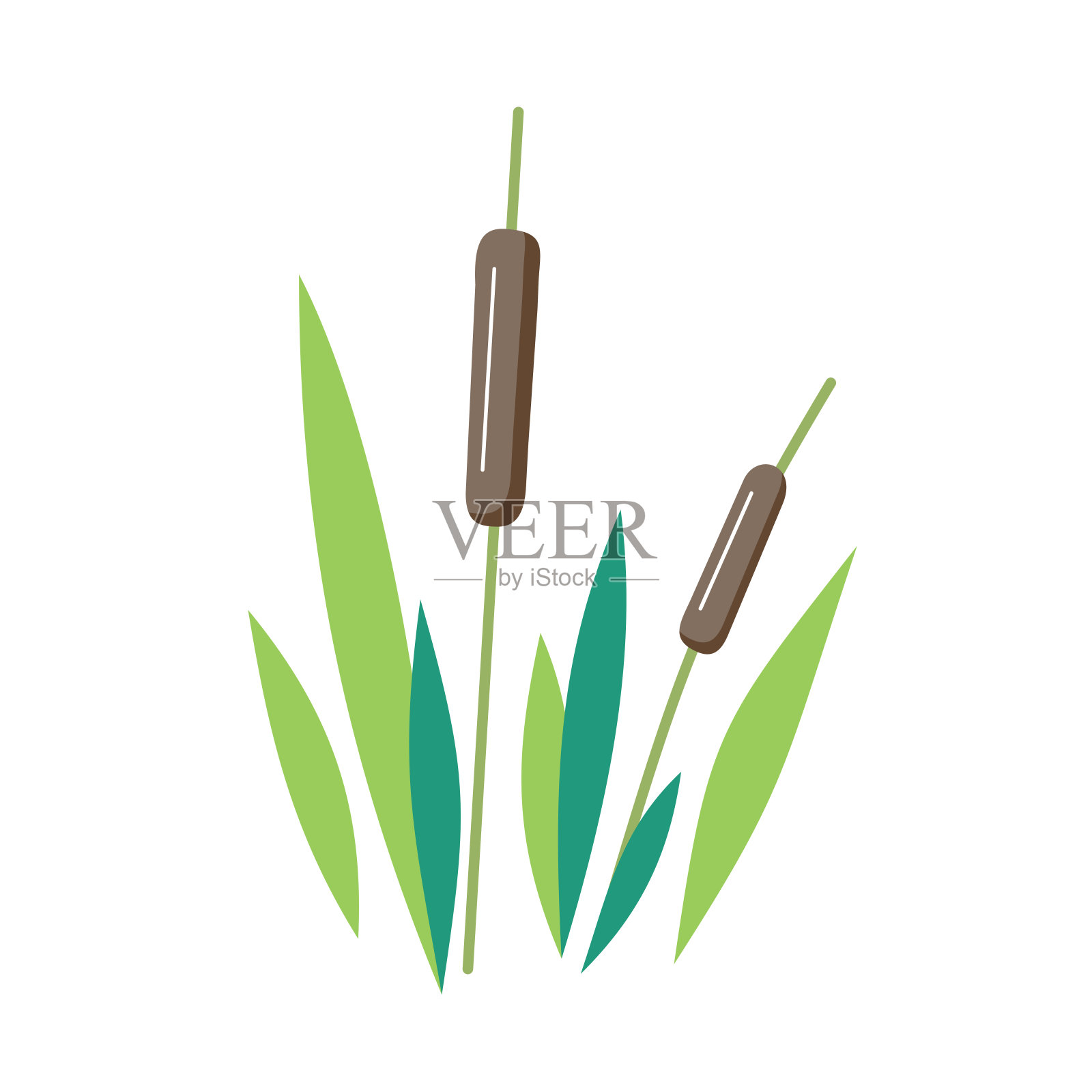 芦苇矢量插图在白色的背景。河工厂插画图片素材