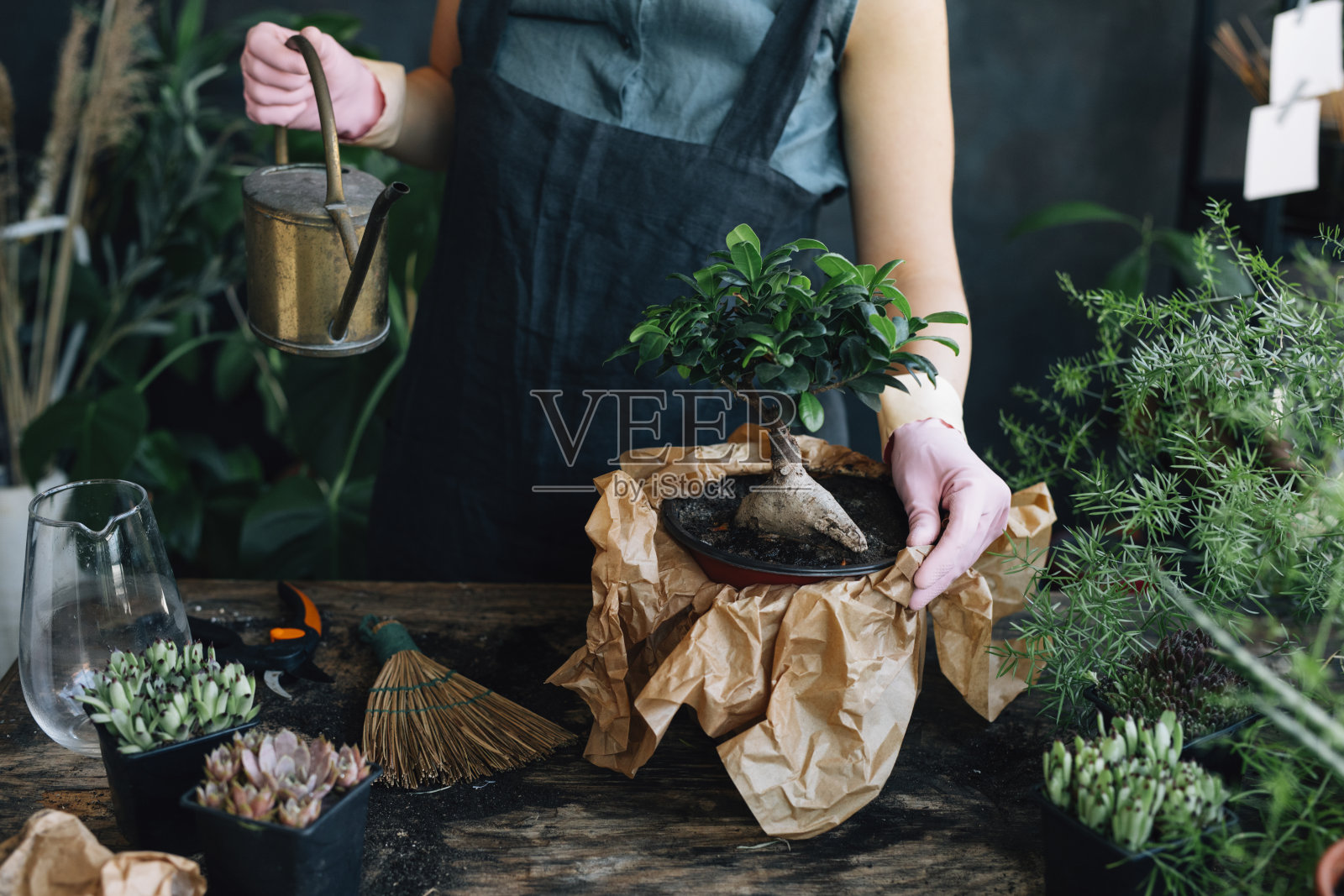 匿名女园丁浇水照片摄影图片