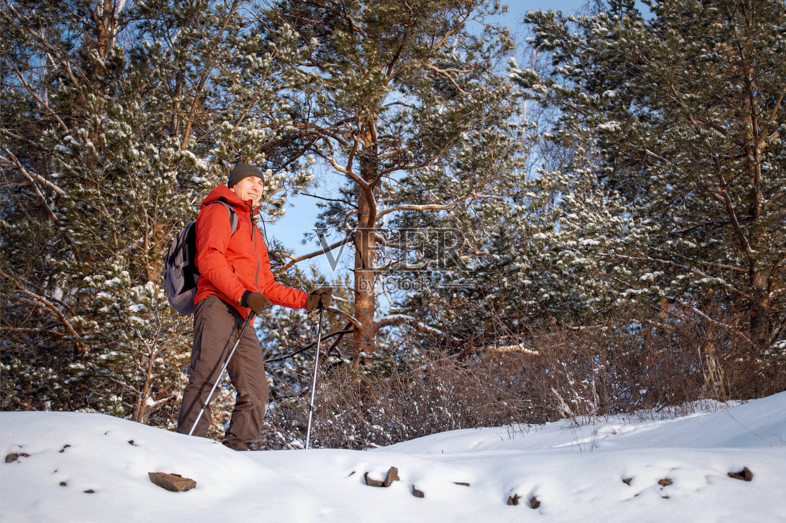 男旅行者在白雪覆盖的森林里徒步旅行。活跃的人在户外。北欧行走。照片摄影图片