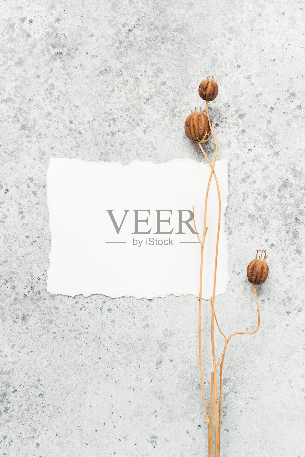 灰色背景上的空白白纸卡片。照片摄影图片