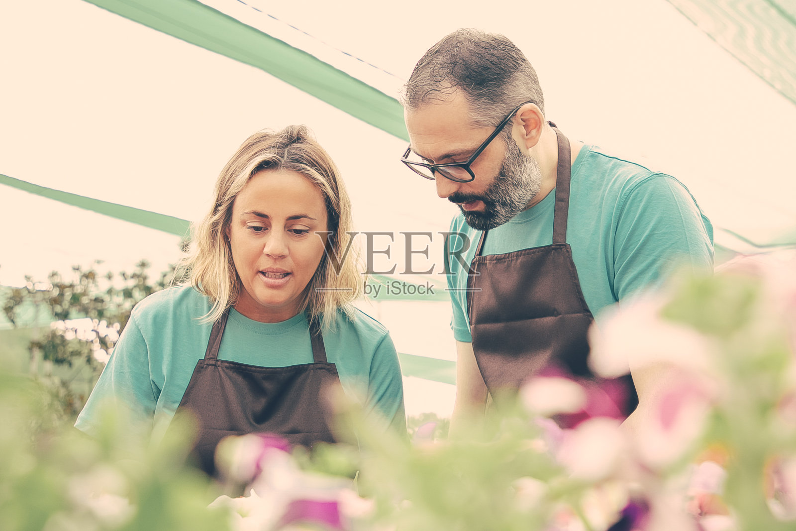 两个在温室工作的白人花匠照片摄影图片