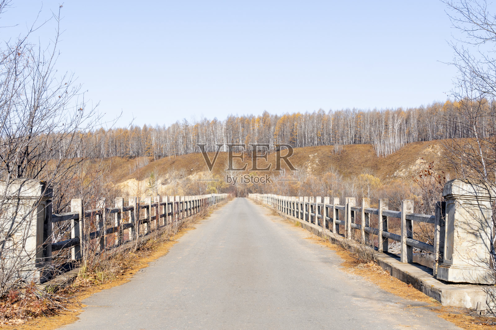 一座桥在两座有森林的山之间照片摄影图片