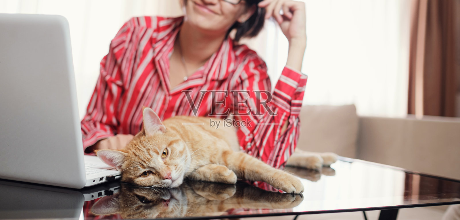 在家中抱着姜黄色猫的红衬衫商务女性照片摄影图片