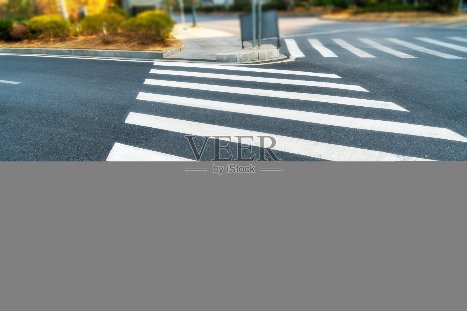 户外道路上的斑马线照片摄影图片