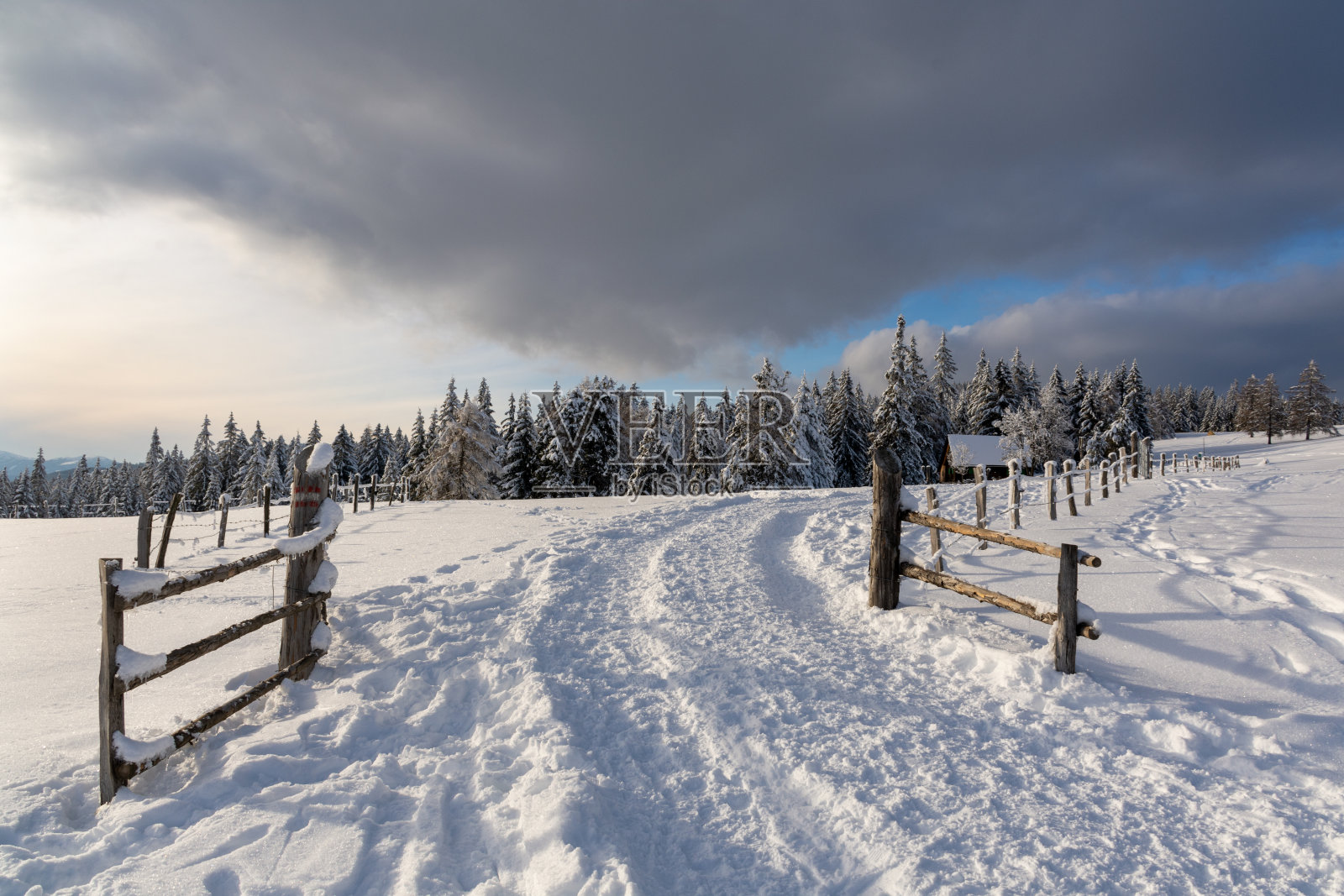 奥地利Packalpe的冬季景观照片摄影图片