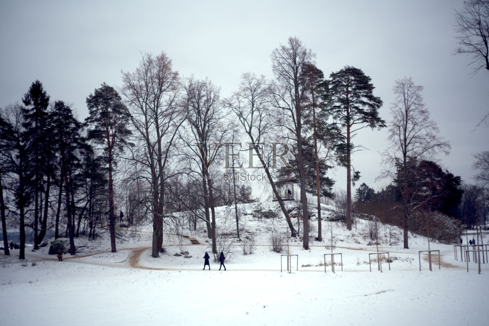 冬天在公园般的房地产Monrepos。Vyborg,俄罗斯。照片摄影图片