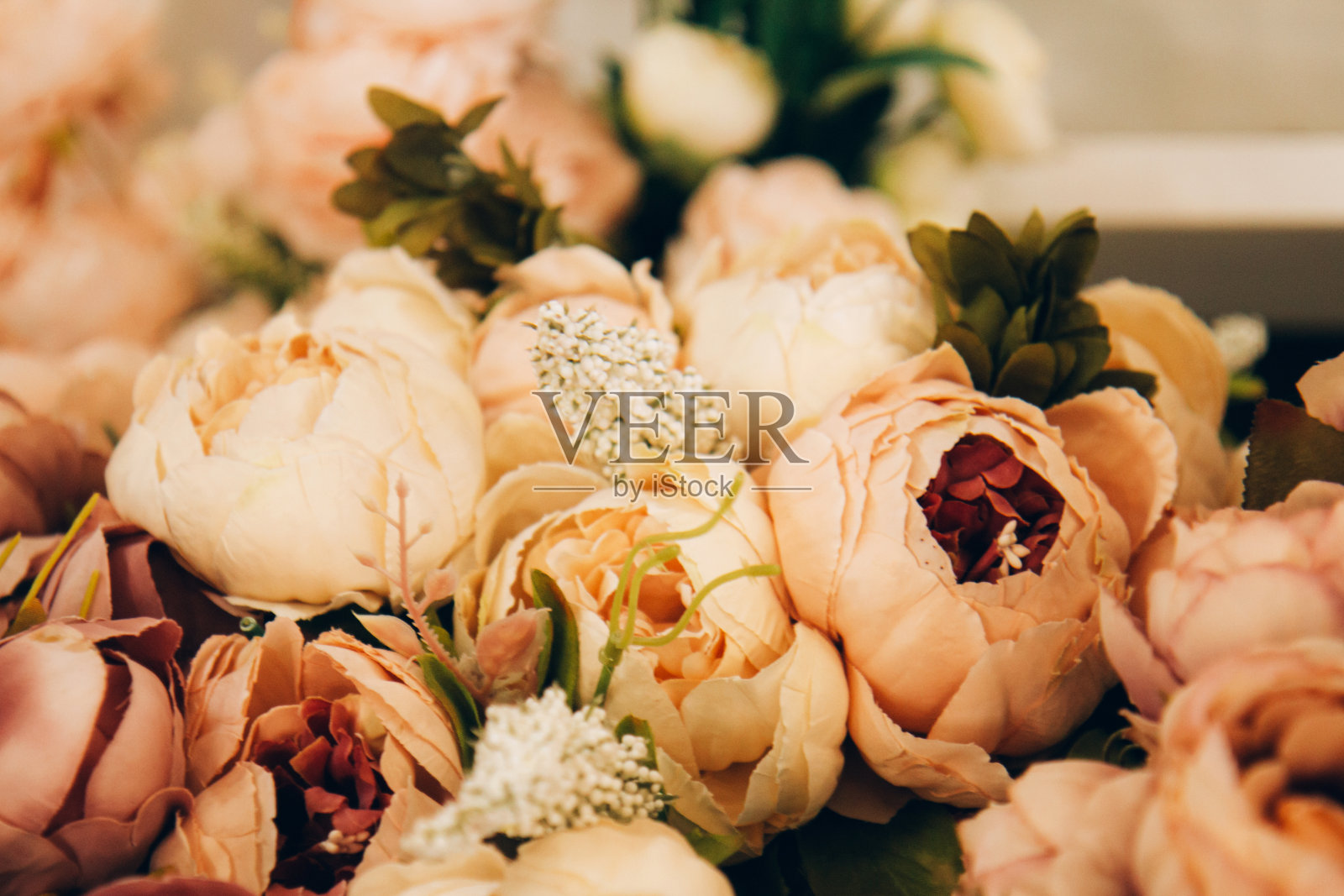 一束美丽的裸花玫瑰照片摄影图片