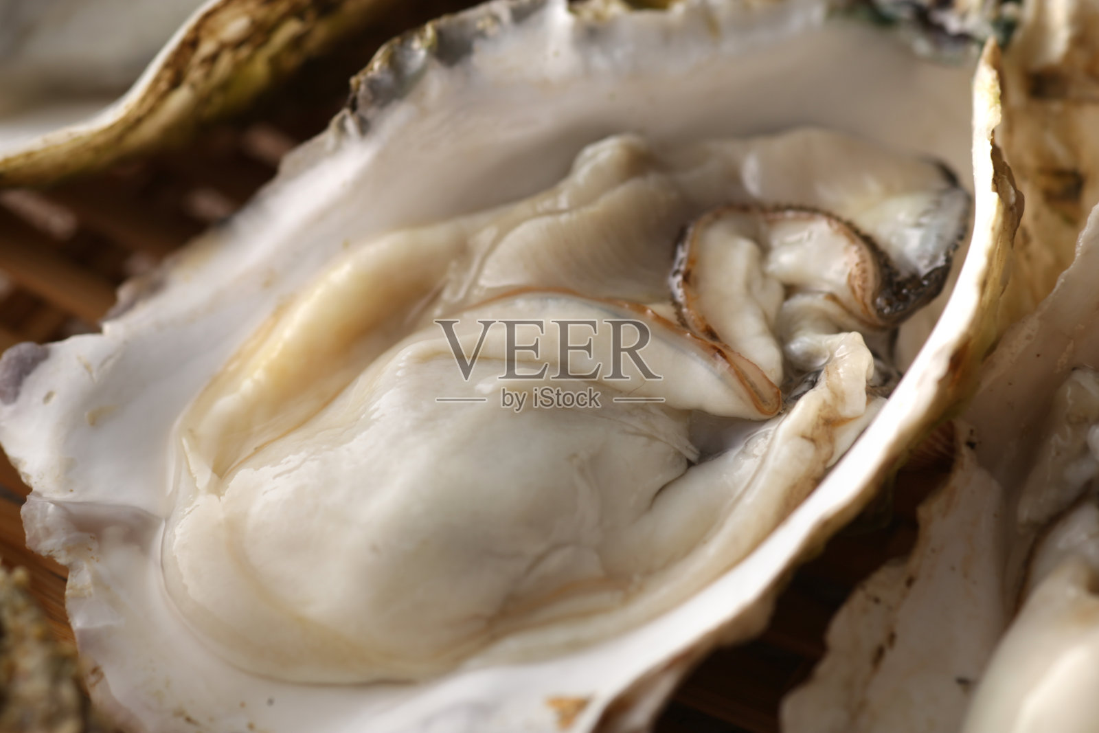 带壳的牡蛎有冬天的味道照片摄影图片