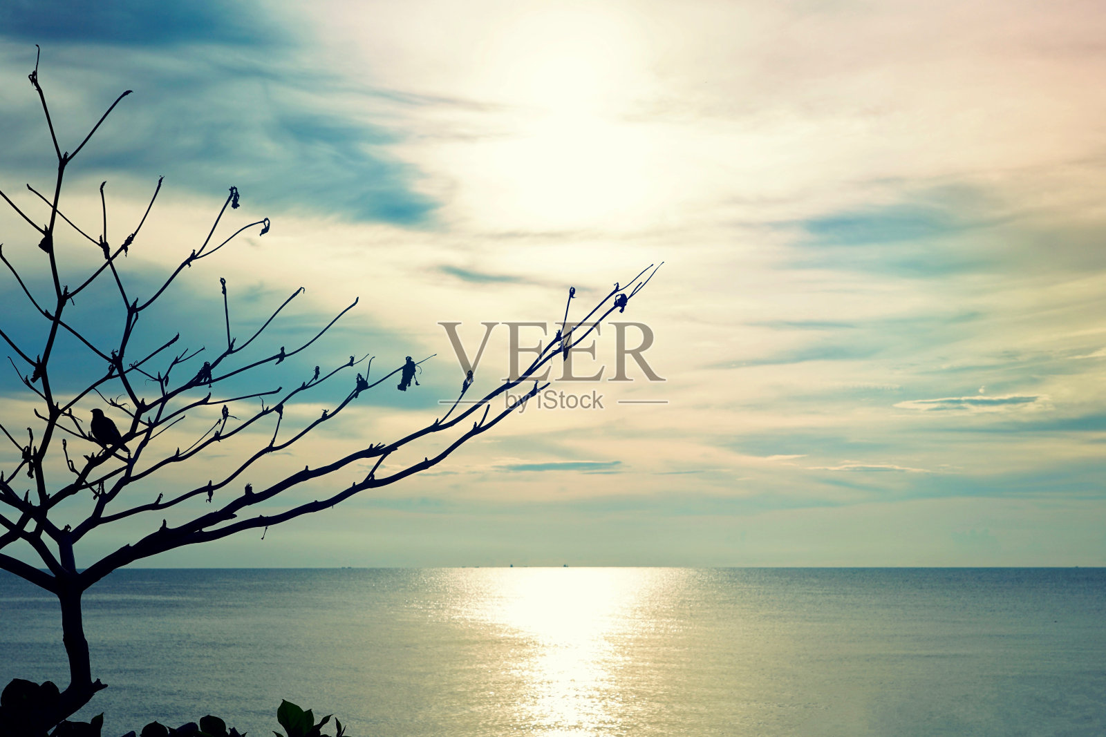 在山景城大坝后面照片摄影图片