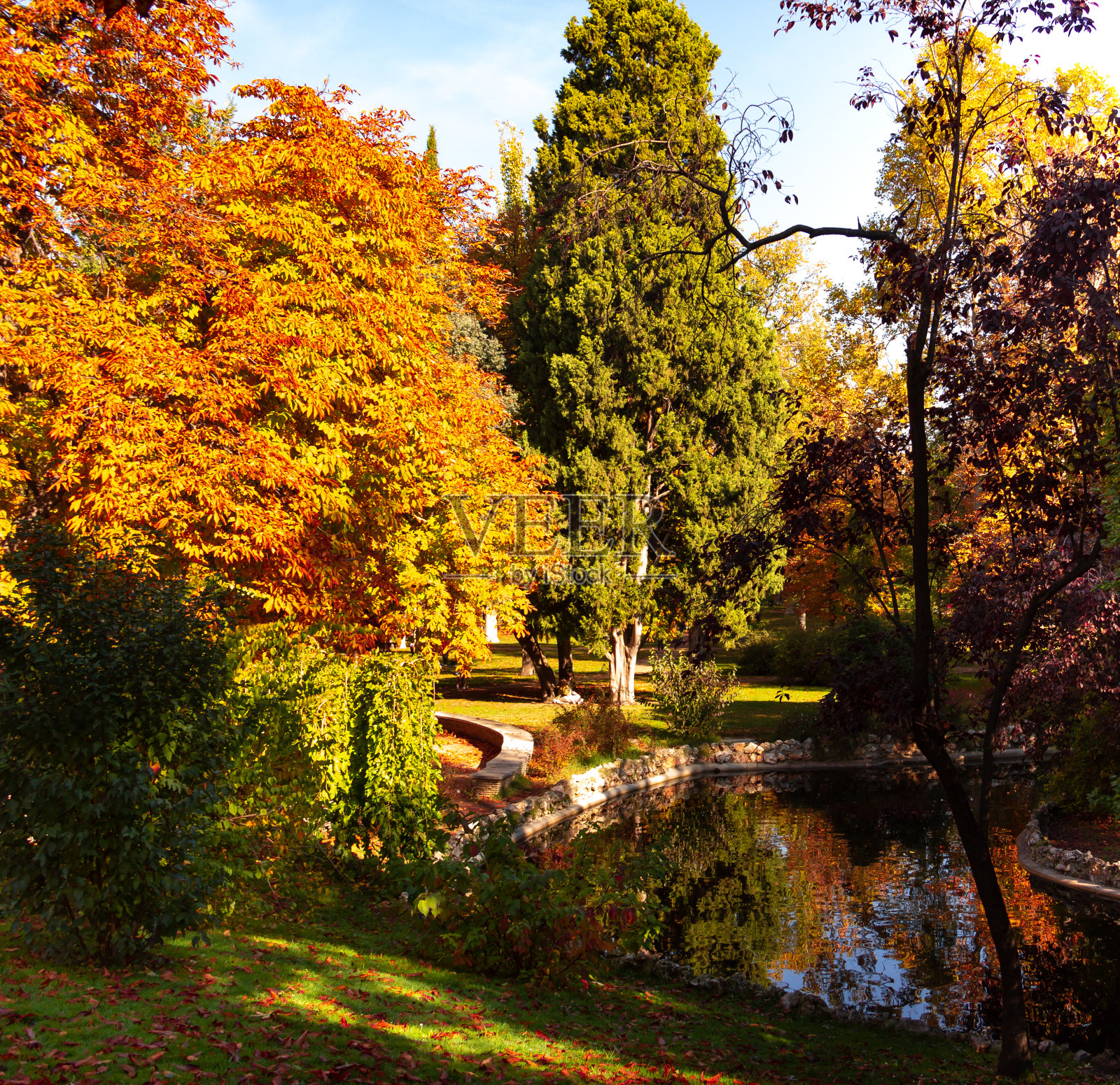 公园在秋天。金色的树木和小溪。照片摄影图片