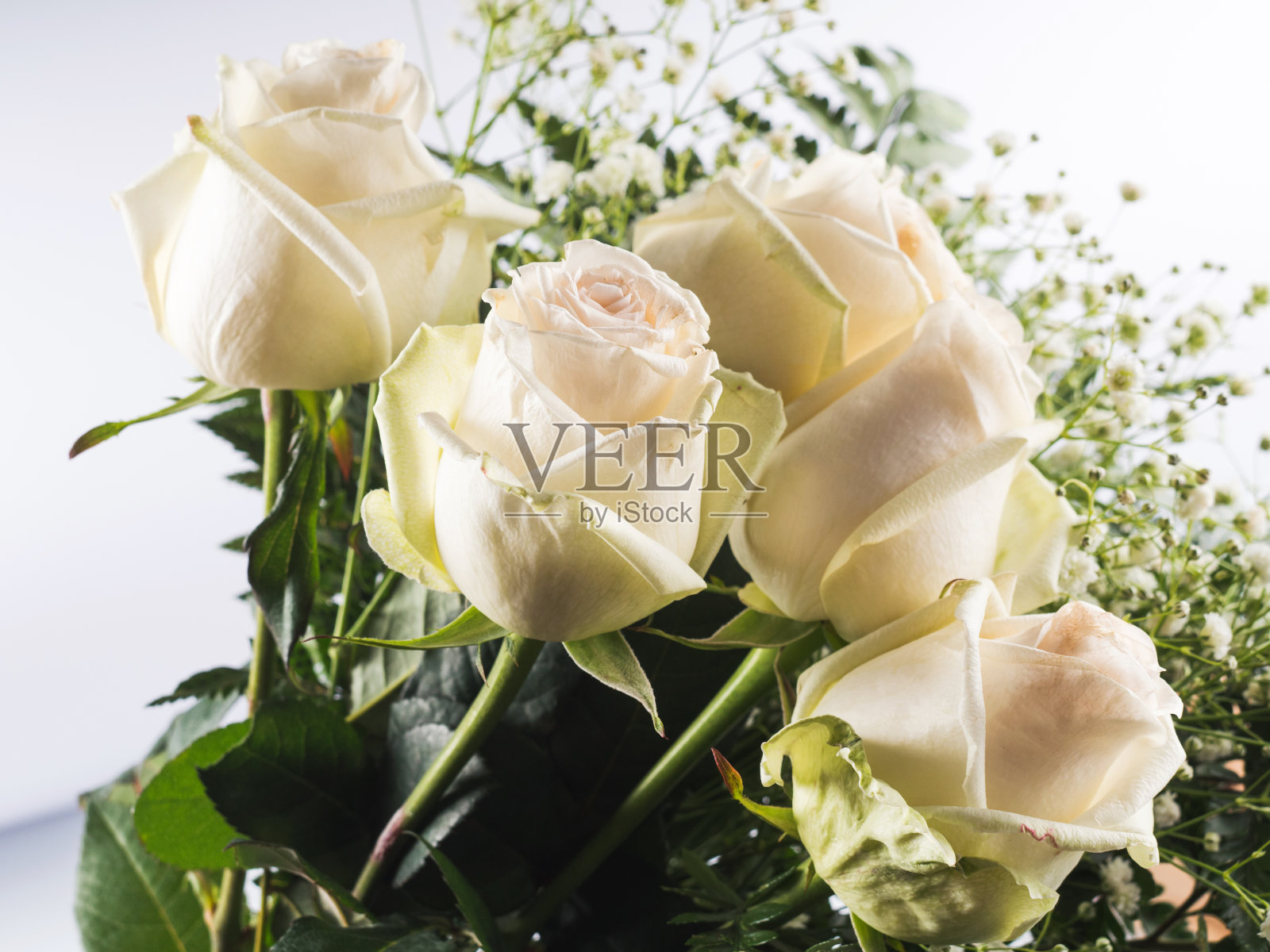 白玫瑰花束作为节日礼物在灰色照片摄影图片