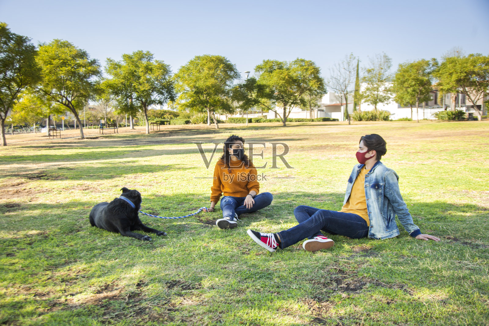 一对夫妇在公园里遛狗照片摄影图片