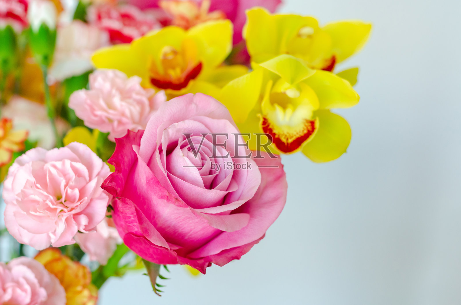 白色背景上的彩色花束照片摄影图片