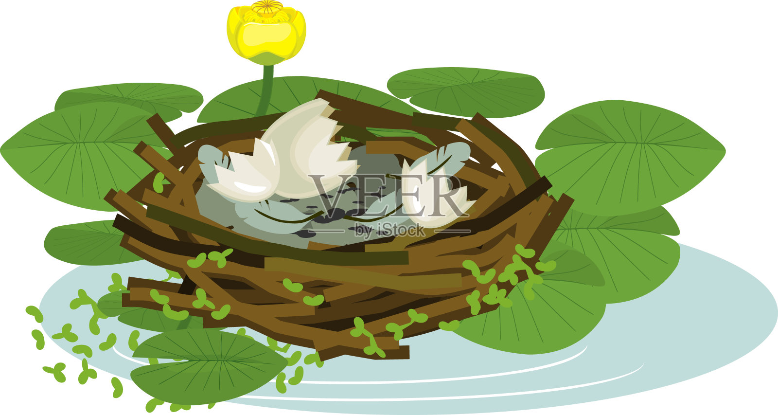 卡通的空巢蛋壳和黄色的荷花植物绿色的叶子和黄色的花插画图片素材