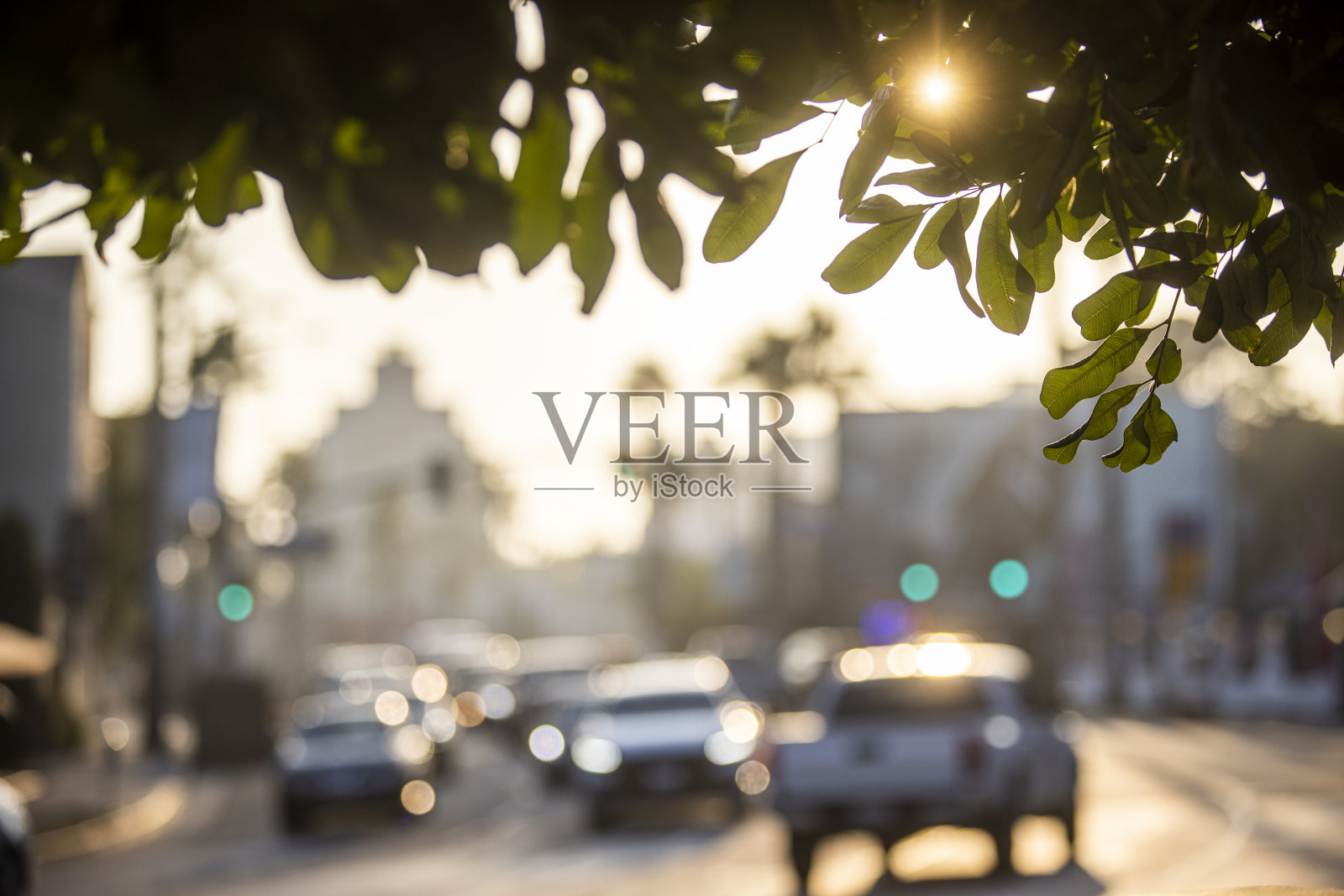 加州西好莱坞照片摄影图片