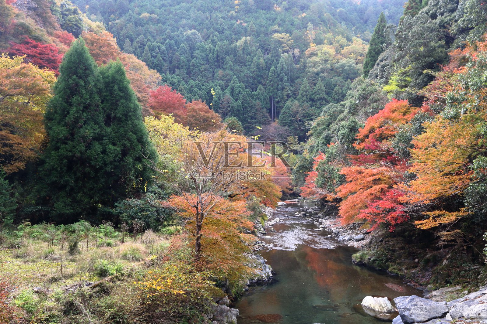 秋天的清泷照片摄影图片