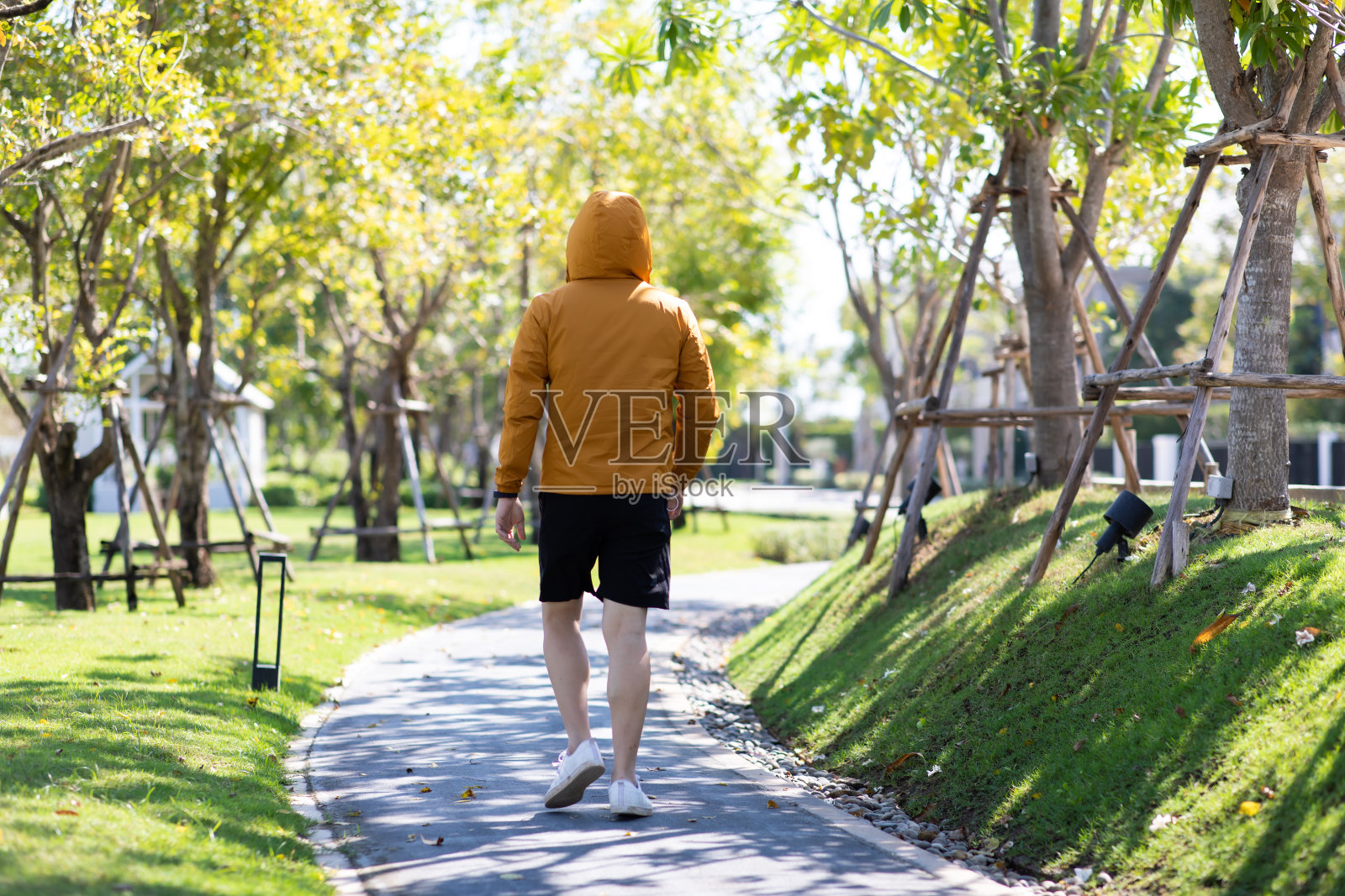 秋天的早晨，穿着黄色连帽衫的亚洲人在公园的路边慢跑和跑步。照片摄影图片