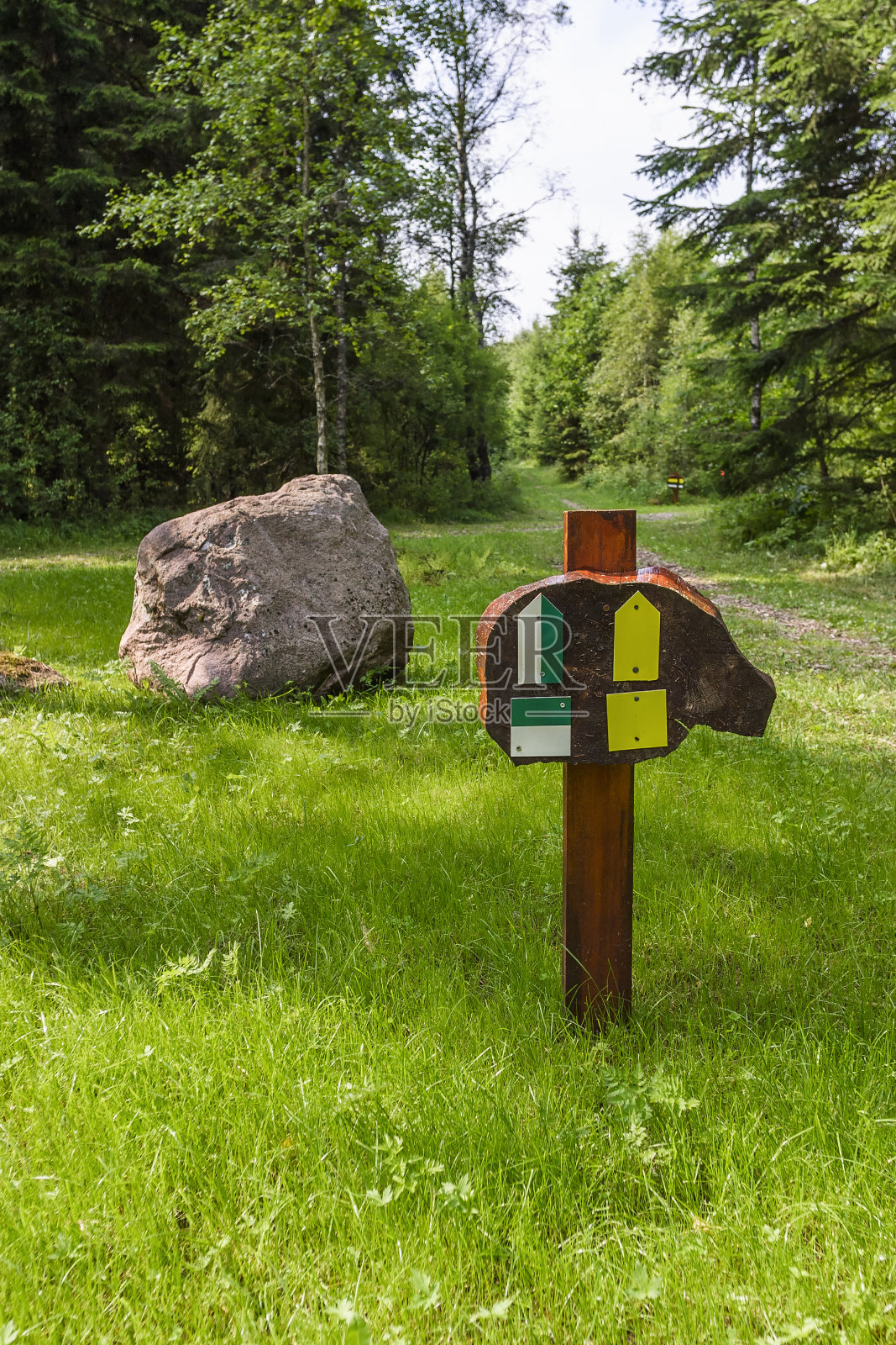 森林里小路上的箭头符号照片摄影图片