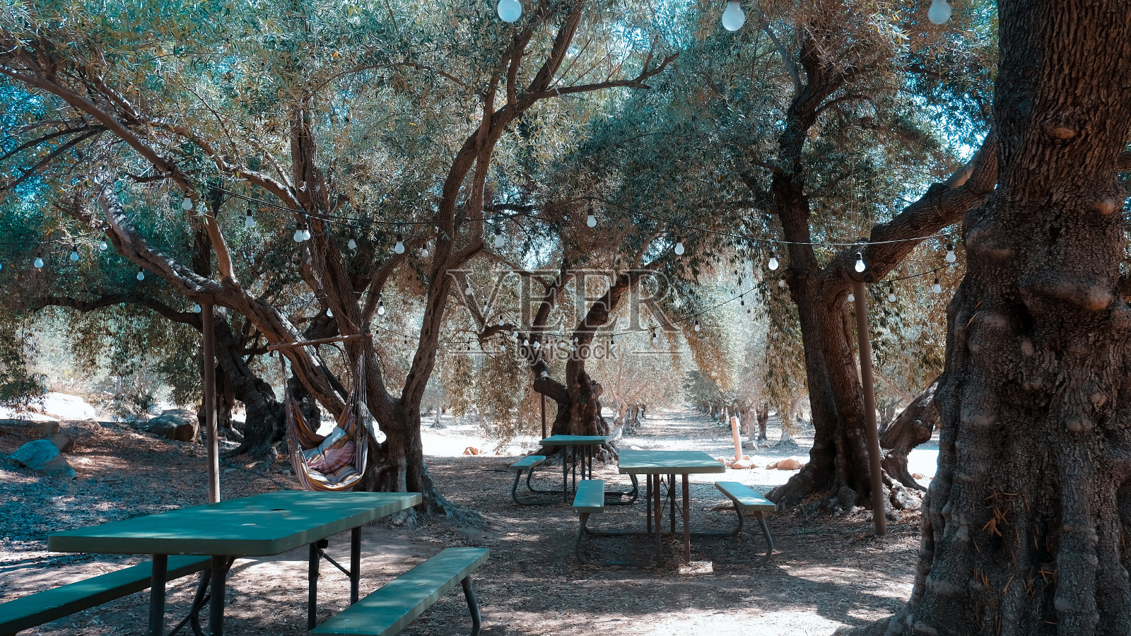 在花园里休息一下照片摄影图片